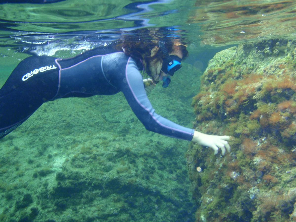 Alberg Costa Brava リャンサ エクステリア 写真